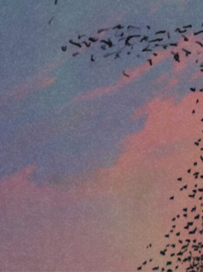 The Breakaway Chronicles: Jason Payne