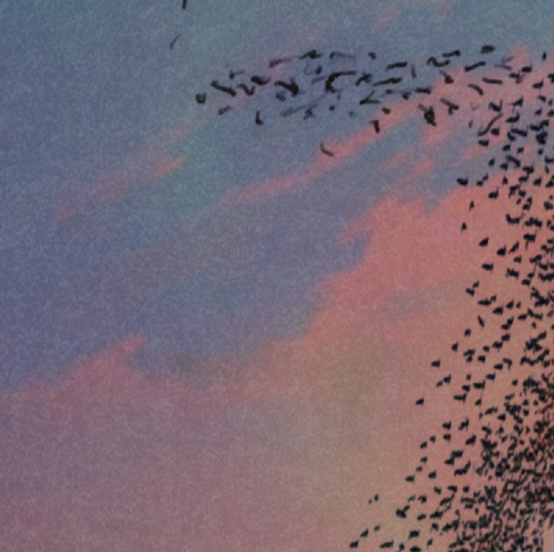 Breakaway Jason Payne