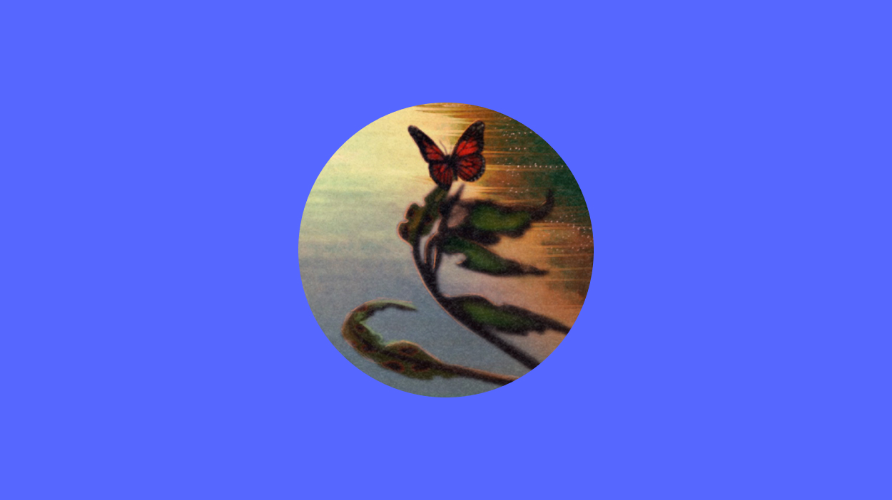 Butterfly illustration circle on blue background.
