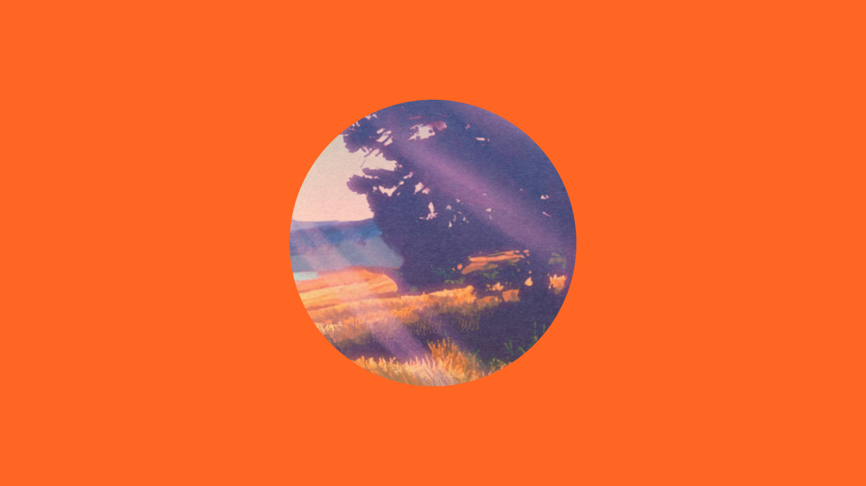 Tree on orange background