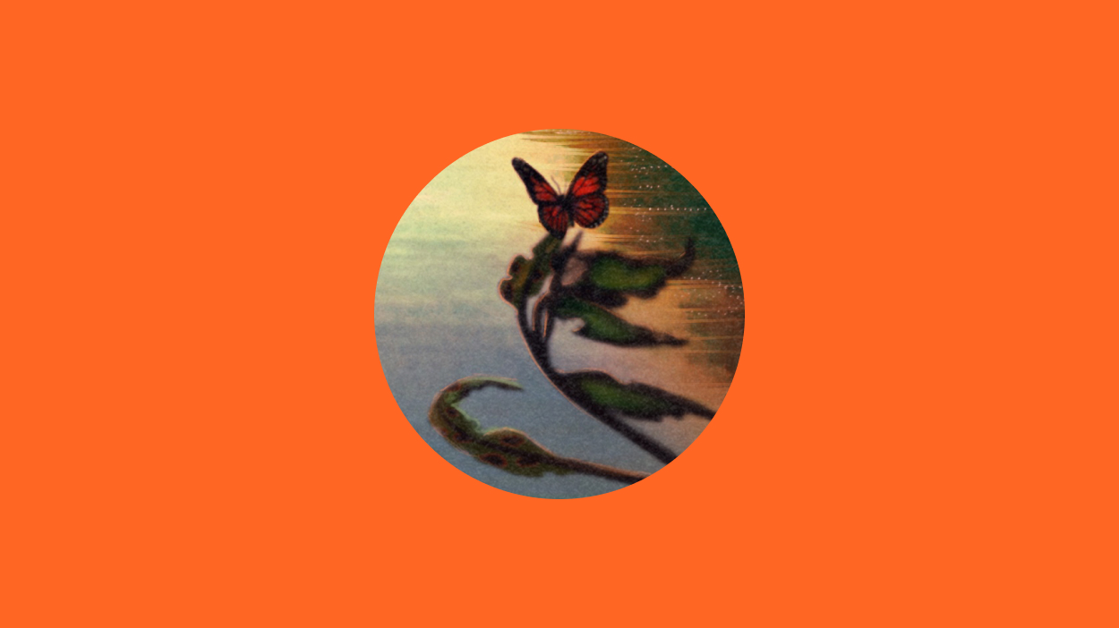 Butterfly illustration in a circle on an orange background.