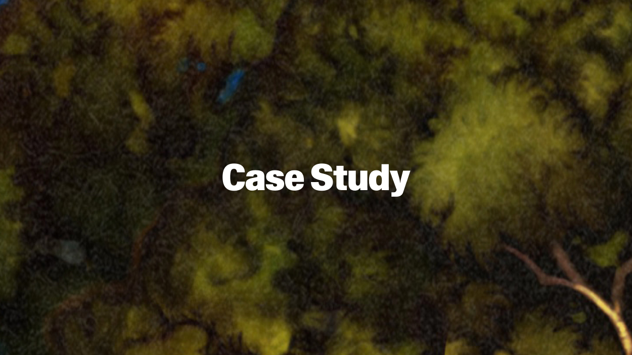 Case study forest graphic