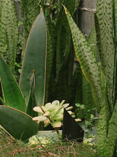 How to Get Your First 100 Clients as a New RIA