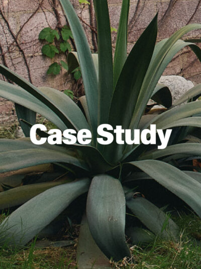 How Kiplinger Wealth Advisors Transitioned 500 Accounts in One Month (and Is Now Saving $140,000 a Year with Altruist)